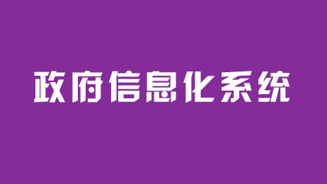 政府信息化系統(tǒng)